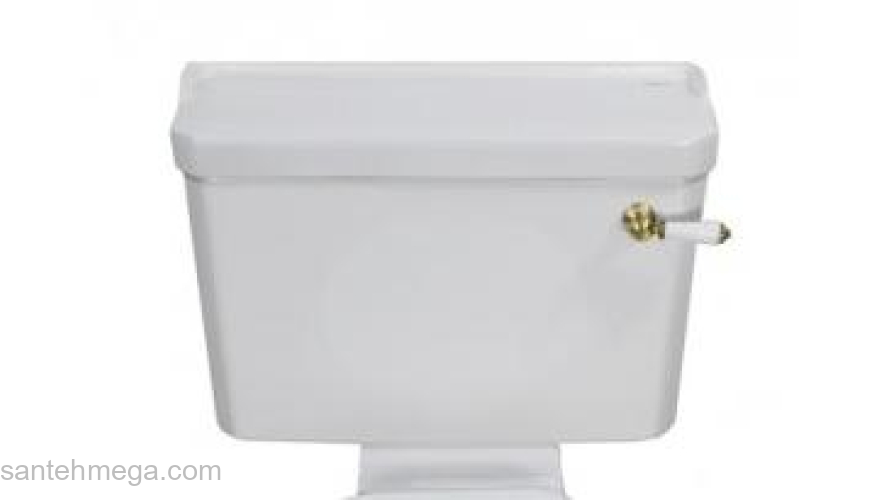 Бачок для напольного унитаза MAGLIEZZA Retro 9011. Фото