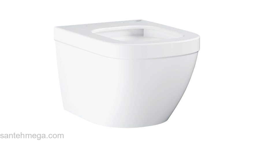 Унитаз подвесной GROHE Euro Ceramic 3920600H. Фото