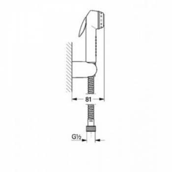 Гигиенический душ GROHE Tempesta-F 27812IL0. Фото
