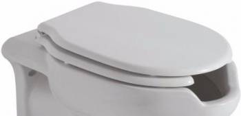 Сиденье для унитаза стандартное CERAMICA GLOBO Ausilia Vasi e Bidet DS021. Фото