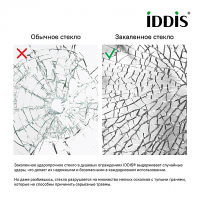 Душевая дверь распашная IDDIS Ray 90х195 RAY6CP9i69. Фото