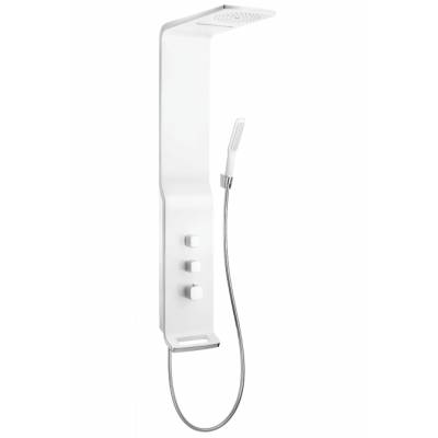 Душевая панель HANSGROHE Raindance Lift 180 EcoSmart 27003400. Фото