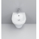 Биде подвесное AM.PM Inspire C503411WH Биде подвесное AM.PM Inspire C503411WH. Фото